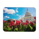 Search for washington dc magnets No people