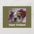 Search for wholesale cards Dog