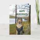 Search for funny military cards Humour