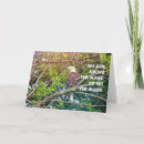 Search for aims cards Quote