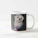 Search for good morning sunshine mugs Cute