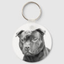 Search for staffies key rings Bull