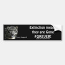 Search for leopards bumper stickers Big cats