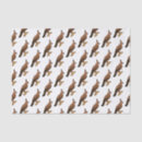 Search for eagle tissue paper Bird