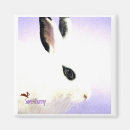 Search for fuzzy magnets Rabbit