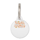 Search for nice pet supplies Autumn