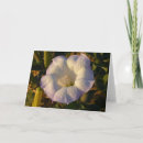 Search for desert flowers cards Nature