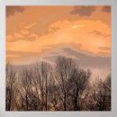 Search for bare trees posters Nature