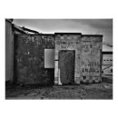 Search for swallow posters Landscape