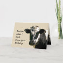 Search for funny cow birthday cards Holstein