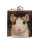 Search for mouse hole Rodent