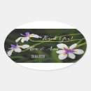 Search for wild iris Purple