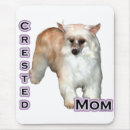 Search for hairless mousepads Crested