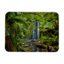 Search for nationalities magnets Landscape
