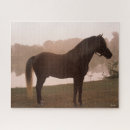 Search for rocky mountain horse Standing