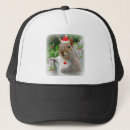 Search for squirrel hats Grey