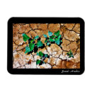 Search for soil magnets Dirt