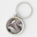 Search for cute otter key rings Otters