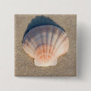 Search for sea shells badges Coast
