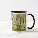 Search for forest floor mugs Nature