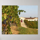 Search for cultivation posters Agriculture