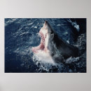 Search for mouth open posters Colour image