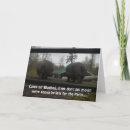 Search for funny hippo birthday cards Cute