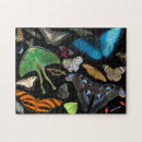 Search for world puzzles Butterfly