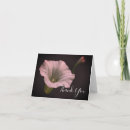 Search for morning glory cards Nature