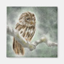 Search for wise owls magnets Feathers