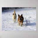 Search for pam posters Snow