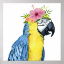 Search for parrot posters Flowers