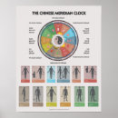 Search for meridian posters Tcm
