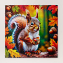 Search for squirrel puzzles Whimsical