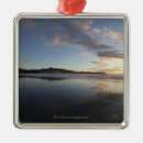 Search for beach photo christmas tree decorations Water