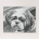 Search for shih tzu dog puzzles Cute