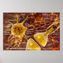 Search for neurons posters Medicine