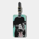 Search for black labrador accessories Animals