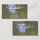 Search for swamp business cards Nature
