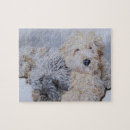 Search for goldendoodle puzzles Labradoodle