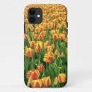 Search for old barn iphone cases Country