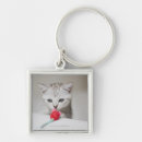 Search for shorthaired key rings Nature