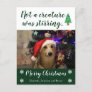 Search for not a creature was stirring seasonal cards Dog