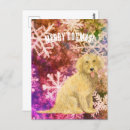 Search for golden doodle postcards Animal