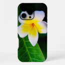 Search for frangipani iphone cases Plumeria