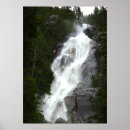 Search for canadian landscape posters Forest