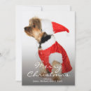 Search for yorkshire christmas cards Dog