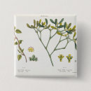 Search for figs badges Botanical