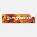 Search for daisy bumper stickers Red