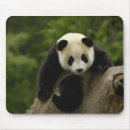Search for provinces mousepads China